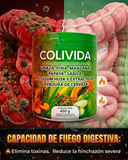COLIVIDA